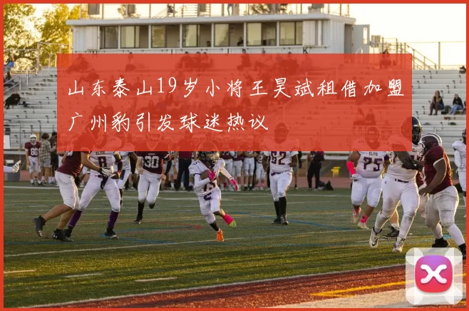 山东泰山19岁小将王昊斌租借加盟广州豹引发球迷热议