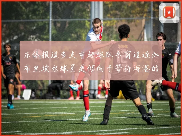 东体报道多支中超球队冬窗追逐加布里埃尔球员更倾向于等待海港的机会